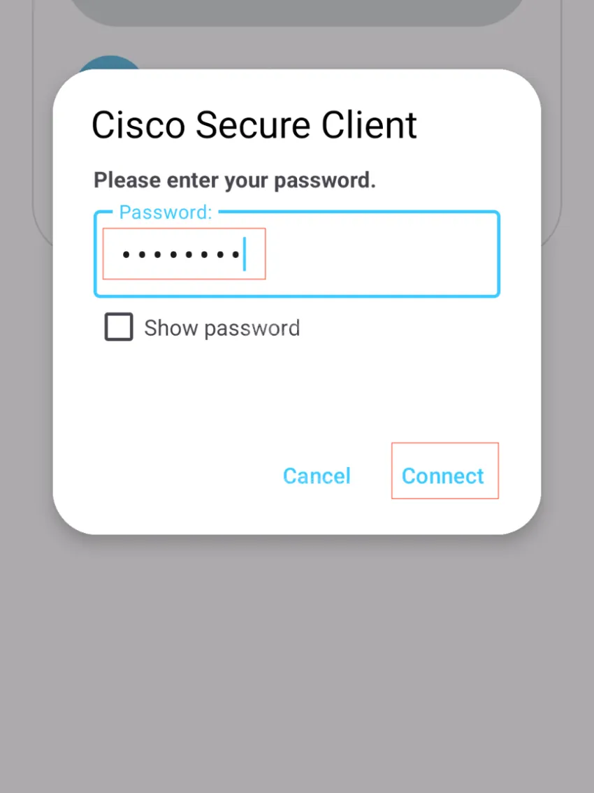 Step 7: Password Prompt